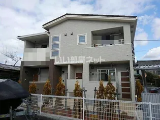 プラシードヴィータの画像