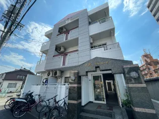 YMニューピーナッツの画像