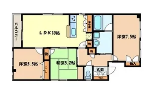 丸橋ビル【3階】の間取り