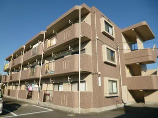 ドミール更紗の画像