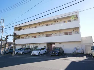 皆川タウンハウス パート1【3階】の外観