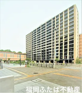 グランフォーレ千早プレミア【8階】の外観