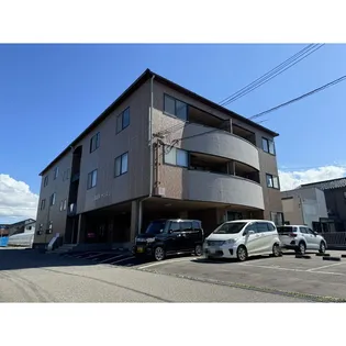 サンスリーの画像