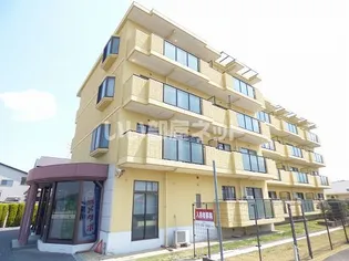 兵庫県加古川市神野町西条【マンション】の外観