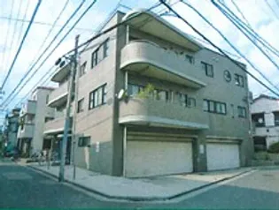 アムールMの画像