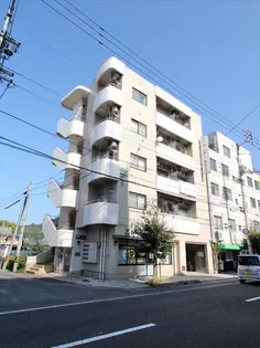 カンセンビルの画像