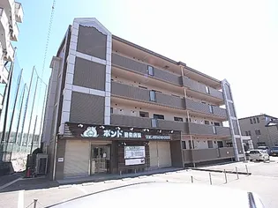 チェリーコートの画像