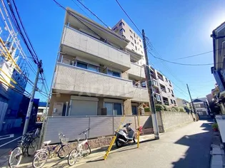 ステラカーサの画像