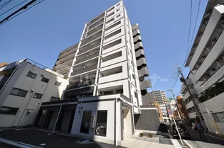 ハイム ミモザの画像