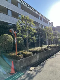 メゾン本山中町の画像