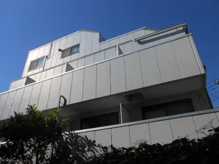 ヴィーナスNの画像