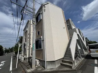 ルピナスの画像