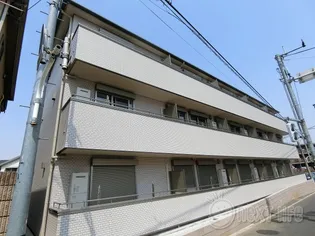 クレール花水木の画像