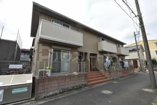 ホーリー稲荷木の画像