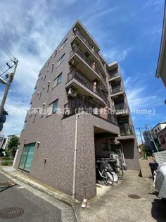 ブルーパロットアヤメの画像