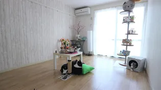 ベネッセ滝道の外観