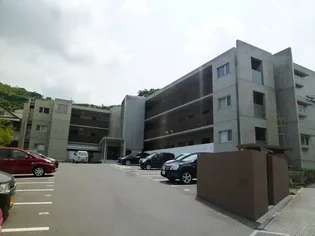 京竹楽の画像
