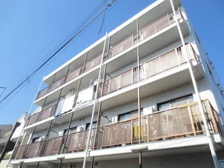 ステラマリスの画像
