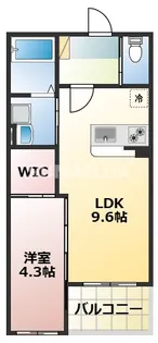 熊本県熊本市中央区坪井3【アパート】の間取り