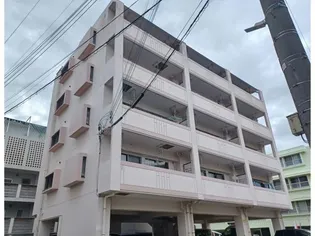 メープルの画像