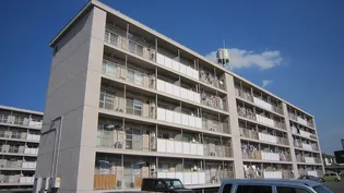 ドムス東長岡B【4階】の外観