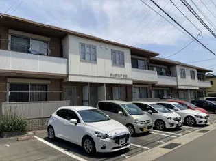 ガーデニアナナの画像