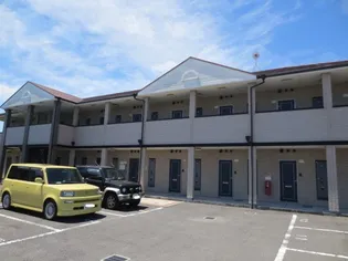 エリカⅡの画像