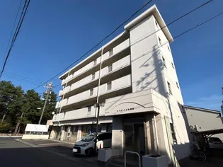 エクセントビル石川【4階】の外観