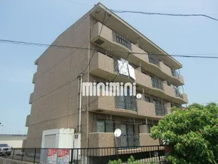 エリーズの画像