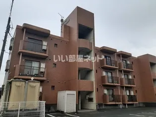 グレースリヴランの画像