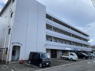 グリーンエースの画像