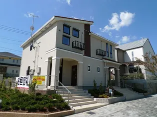 サンフィールドの画像