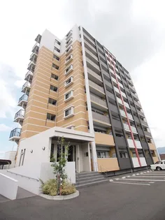 リオ グランデの画像