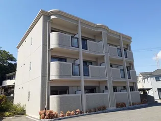 プラシード 和坂の画像