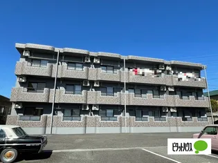 ミルサートの画像