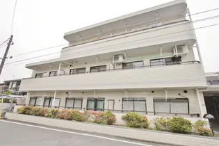 アムール白山の画像