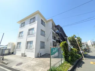 緑マンションの画像