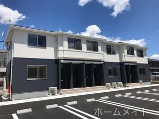 ファイン ヒルの画像