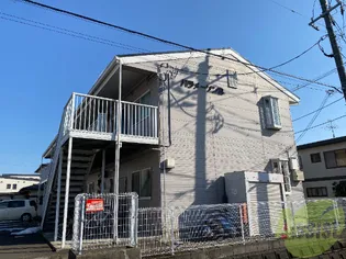 パラメーゾンBの画像