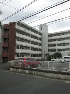 神奈川県川崎市高津区明津【マンション】の外観