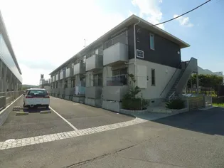 アンゼリカIIの画像