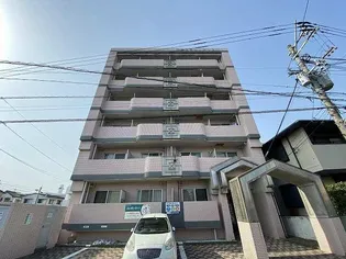 エレガンス11【5階】の外観