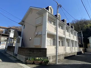 シェモアの画像