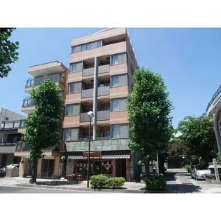 アプリコットの画像