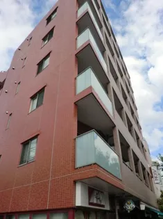 アムールアドニスの画像