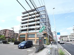PJ TREE NESTの画像