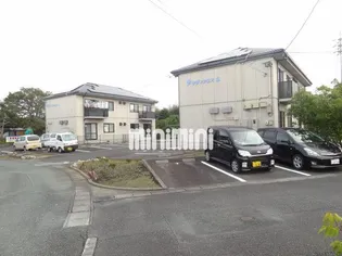 サザンクロスの画像