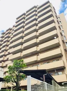 サンリヴァ隅田の画像