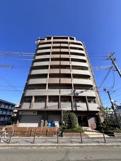 ファミールパピヨンの画像