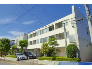 MAISON BLANCの画像